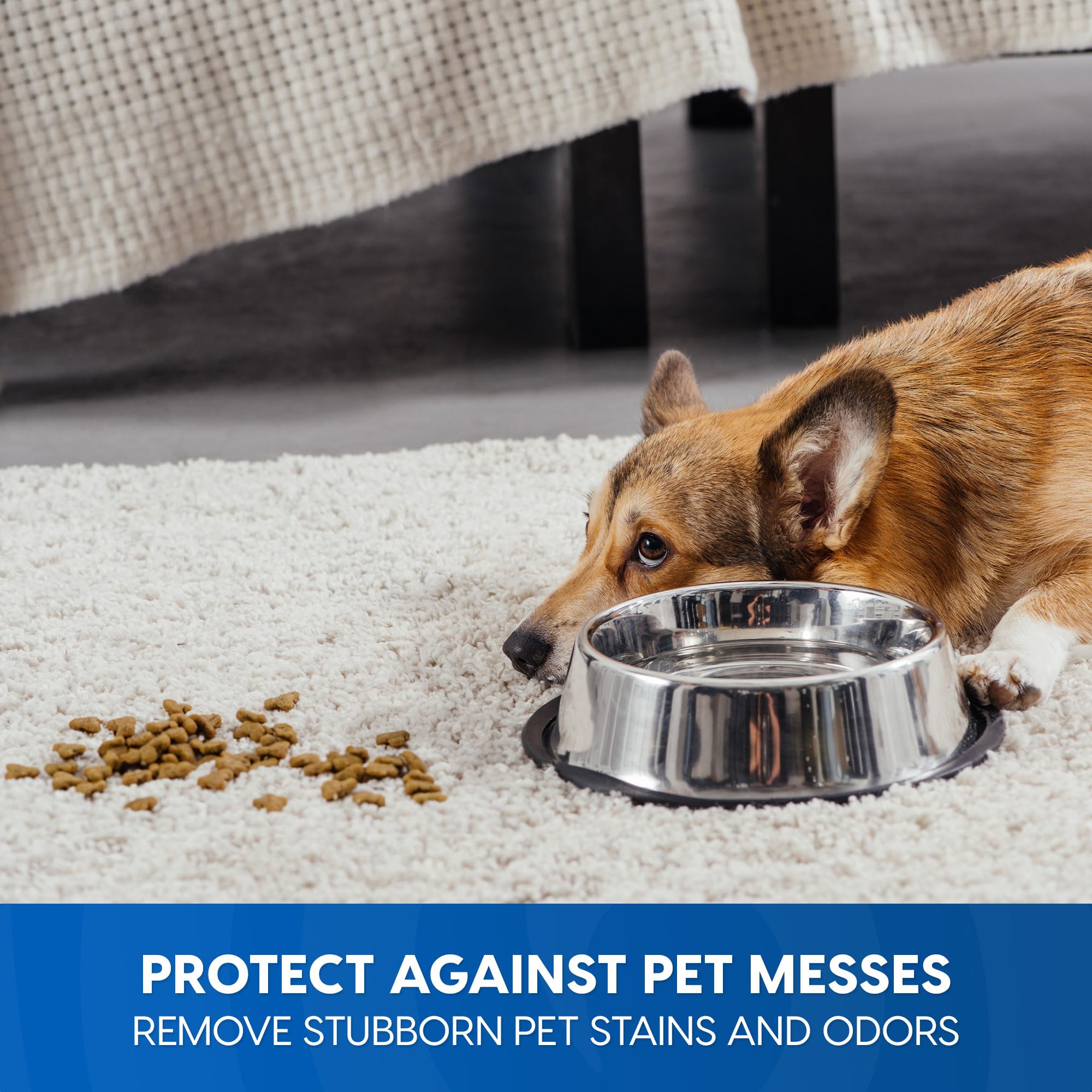 Vacmaster CCS03 Carpet Cleaner Shampoo Solution, 64 oz Spot & Stain Formula for All Carpets, Upholstery & Area Rugs - Image 4